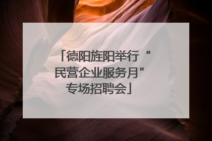 德阳旌阳举行“民营企业服务月”专场招聘会