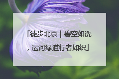 徒步北京｜碧空如洗，运河绿道行者如织