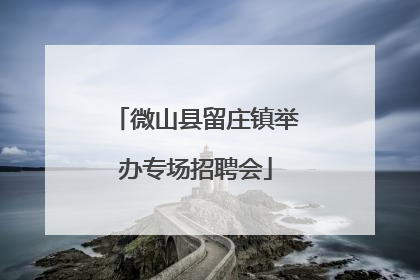 微山县留庄镇举办专场招聘会
