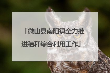 微山县南阳镇全力推进秸秆综合利用工作