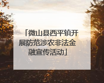 微山县西平镇开展防范涉农非法金融宣传活动
