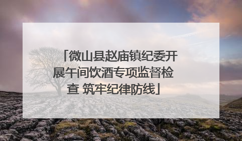 微山县赵庙镇纪委开展午间饮酒专项监督检查 筑牢纪律防线