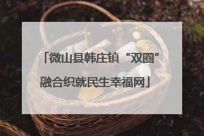 微山县韩庄镇“双圈”融合织就民生幸福网