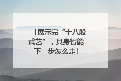 展示完“十八般武艺”，具身智能下一步怎么走