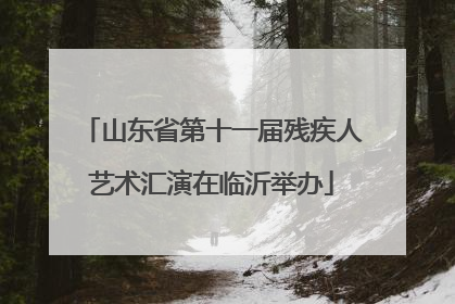 山东省第十一届残疾人艺术汇演在临沂举办