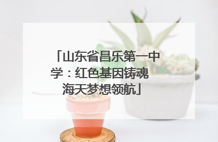 山东省昌乐第一中学：红色基因铸魂 海天梦想领航