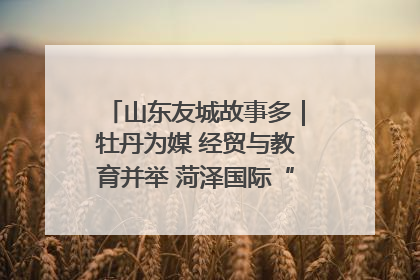 山东友城故事多｜牡丹为媒 经贸与教育并举 菏泽国际“朋友圈”扩容升级