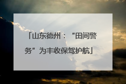 山东德州：“田间警务”为丰收保驾护航