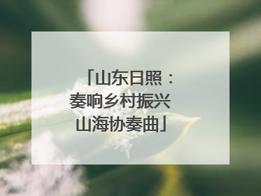 山东日照：奏响乡村振兴山海协奏曲