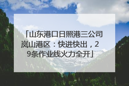 山东港口日照港三公司岚山港区：快进快出，29条作业线火力全开