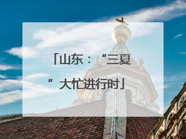 山东：“三夏”大忙进行时