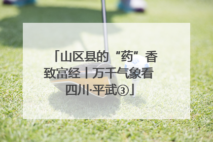 山区县的“药”香致富经丨万千气象看四川·平武③