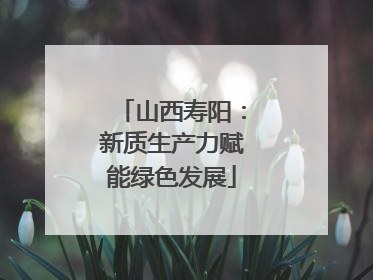 山西寿阳：新质生产力赋能绿色发展