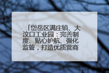 岱岳区满庄镇、大汶口工业园：完善制度、贴心护航、强化监管，打造优质营商“强磁场”