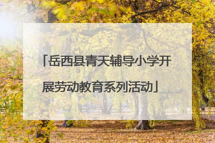 岳西县青天辅导小学开展劳动教育系列活动