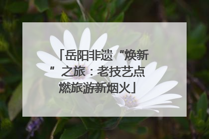 岳阳非遗“焕新”之旅：老技艺点燃旅游新烟火