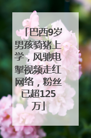 巴西9岁男孩骑猪上学，风驰电掣视频走红网络，粉丝已超125万
