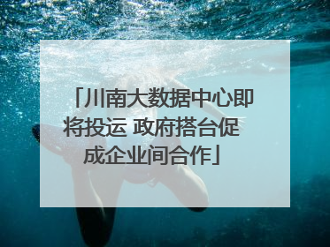 川南大数据中心即将投运 政府搭台促成企业间合作