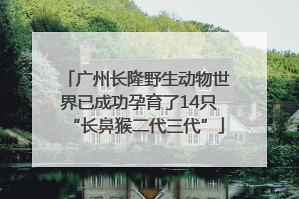 广州长隆野生动物世界已成功孕育了14只“长鼻猴二代三代”