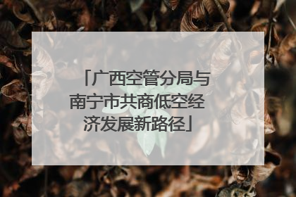 广西空管分局与南宁市共商低空经济发展新路径