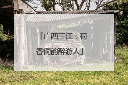 广西三江：荷香侗韵醉游人