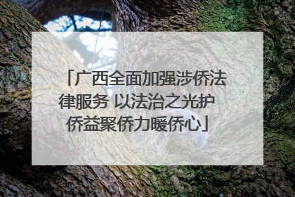 广西全面加强涉侨法律服务 以法治之光护侨益聚侨力暖侨心
