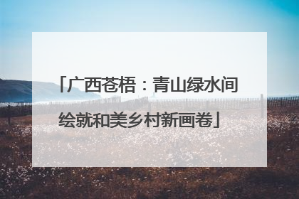 广西苍梧：青山绿水间绘就和美乡村新画卷