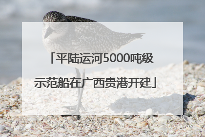 平陆运河5000吨级示范船在广西贵港开建