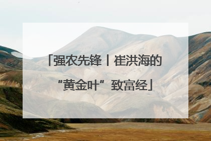 强农先锋丨崔洪海的“黄金叶”致富经