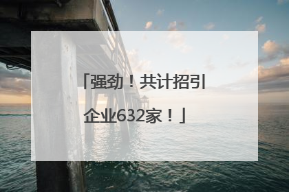 强劲！共计招引企业632家！