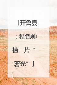 开鲁县：特色种植一片“薯光”