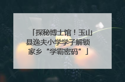 探秘博士馆！玉山县逸夫小学学子解锁家乡“学霸密码”