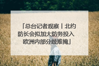 总台记者观察丨北约防长会拟加大防务投入 欧洲内部分歧难掩
