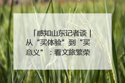 感知山东记者谈｜从“买体验”到“买意义”：看文旅繁荣背后的幸福新定义