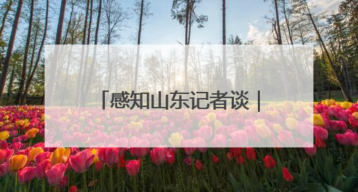 感知山东记者谈｜从“制造”到“智造” 山东技能人才引领产业升级