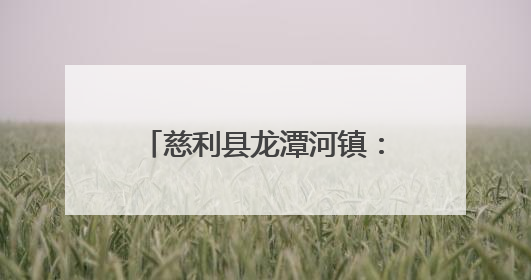 慈利县龙潭河镇：破局“行路难” 铺就“振兴路”