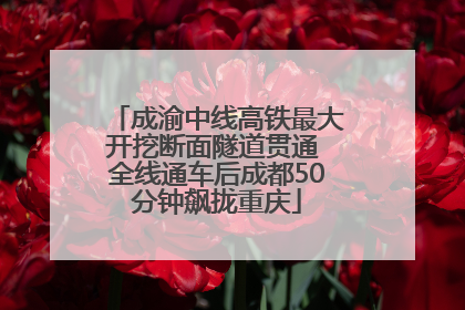 成渝中线高铁最大开挖断面隧道贯通 全线通车后成都50分钟飙拢重庆