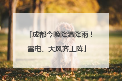 成都今晚降温降雨！雷电、大风齐上阵