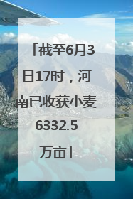 截至6月3日17时，河南已收获小麦6332.5万亩