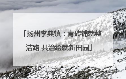 扬州李典镇：青砖铺就整洁路 共治绘就新田园