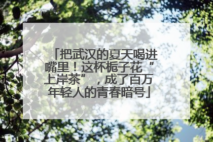 把武汉的夏天喝进嘴里！这杯栀子花“上岸茶”，成了百万年轻人的青春暗号