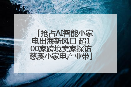 抢占AI智能小家电出海新风口 超100家跨境卖家探访慈溪小家电产业带