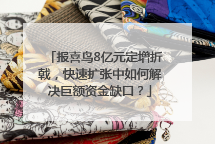 报喜鸟8亿元定增折戟，快速扩张中如何解决巨额资金缺口？