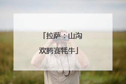 拉萨：山沟欢腾赛牦牛