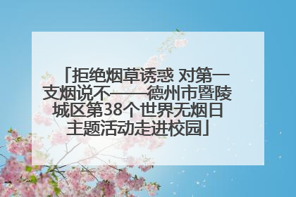 拒绝烟草诱惑 对第一支烟说不——德州市暨陵城区第38个世界无烟日主题活动走进校园