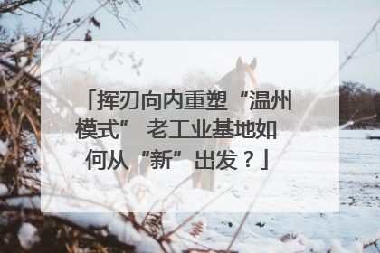 挥刃向内重塑“温州模式” 老工业基地如何从“新”出发？