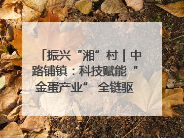 振兴“湘”村｜中路铺镇：科技赋能“金蛋产业” 全链驱动乡村振兴
