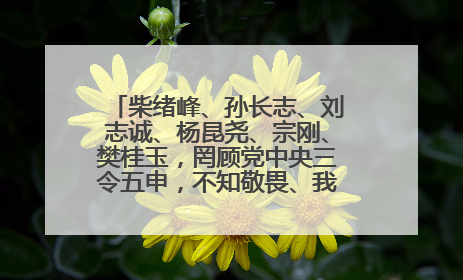 柴绪峰、孙长志、刘志诚、杨昆尧、宗刚、樊桂玉，罔顾党中央三令五申，不知敬畏、我行我素、肆意妄为！