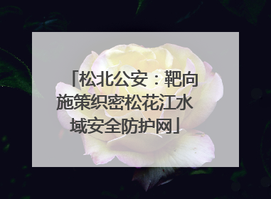 松北公安：靶向施策织密松花江水域安全防护网