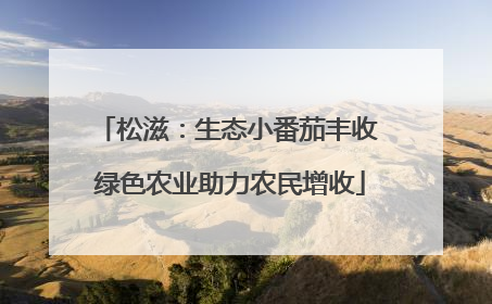 松滋：生态小番茄丰收 绿色农业助力农民增收